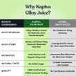 Giloy Juice 1L