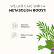 Aloe Garcinia Juice (Metabolism Booster)