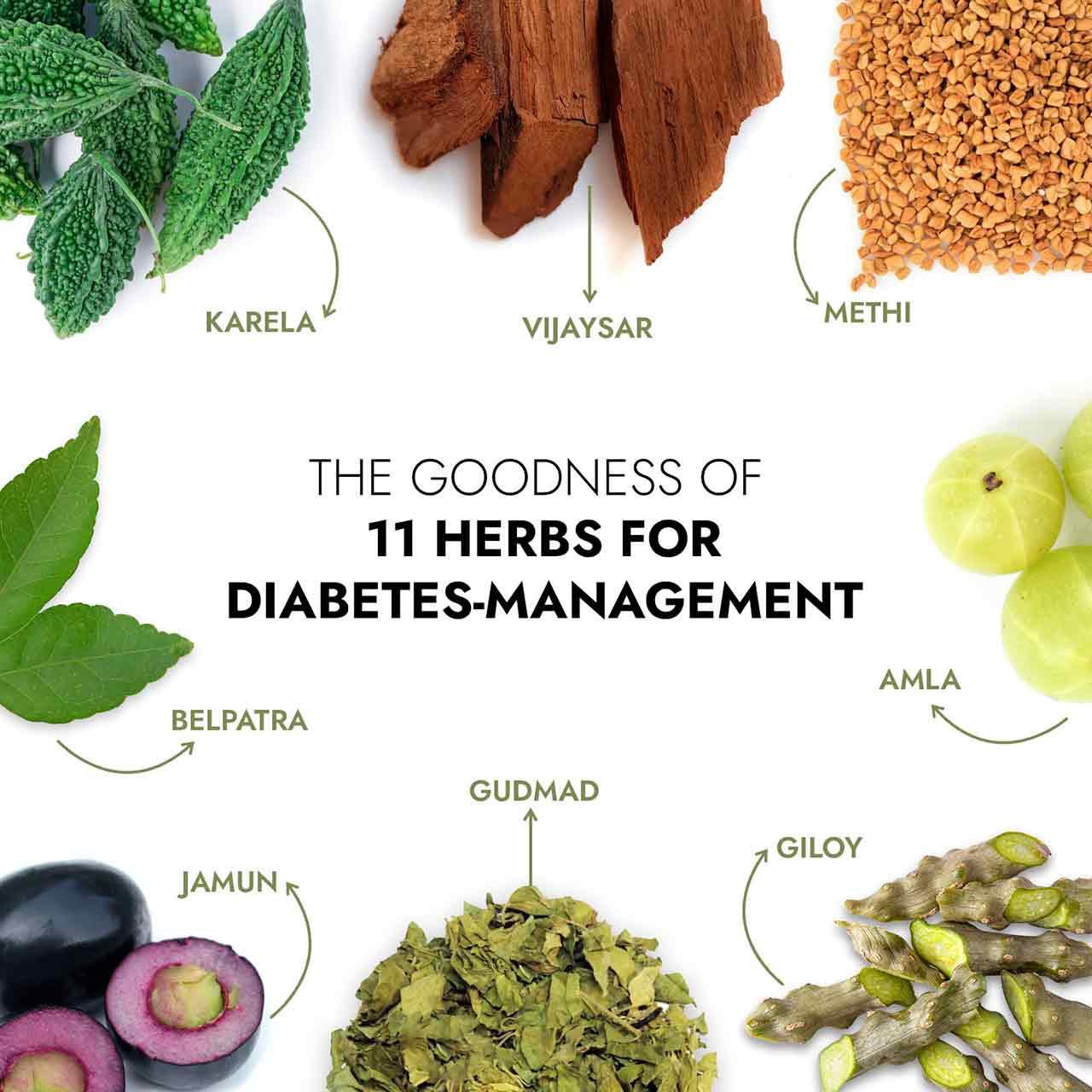 Dia Free Juice is made of 11 Natural Herbs like Karela, Jamun, Gudmad, Vijaysaar, Amla, Giloy, Methi, Guduchi, Katuki,  Tulsi, Belpatra